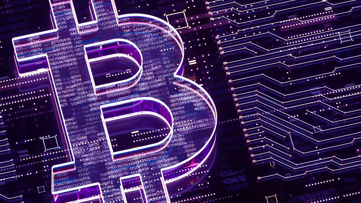 Bitcoin Insights - December 2024 | Evolve ETFs